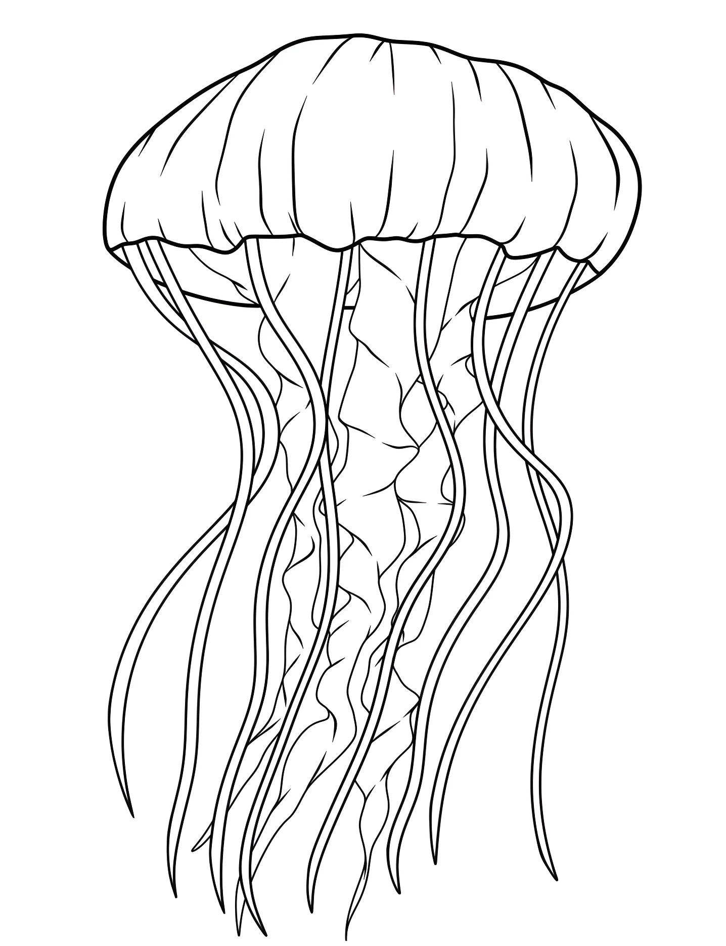 Красивая медуза №8326. Раскраски для девочек по категориям. Медуза (Jellyfish).