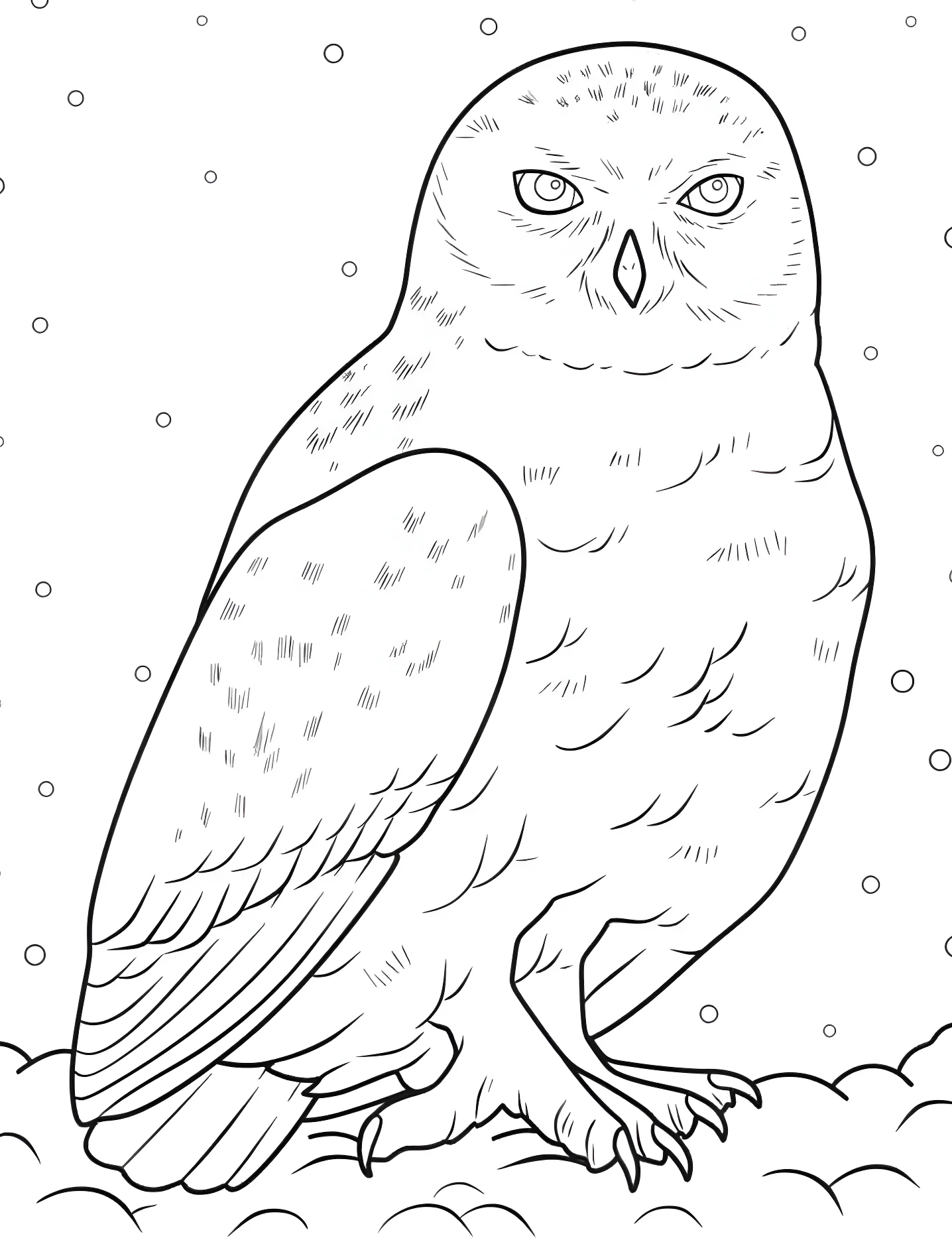 Белая сова №9188. Раскраски для девочек по категориям. Сова (Owl).