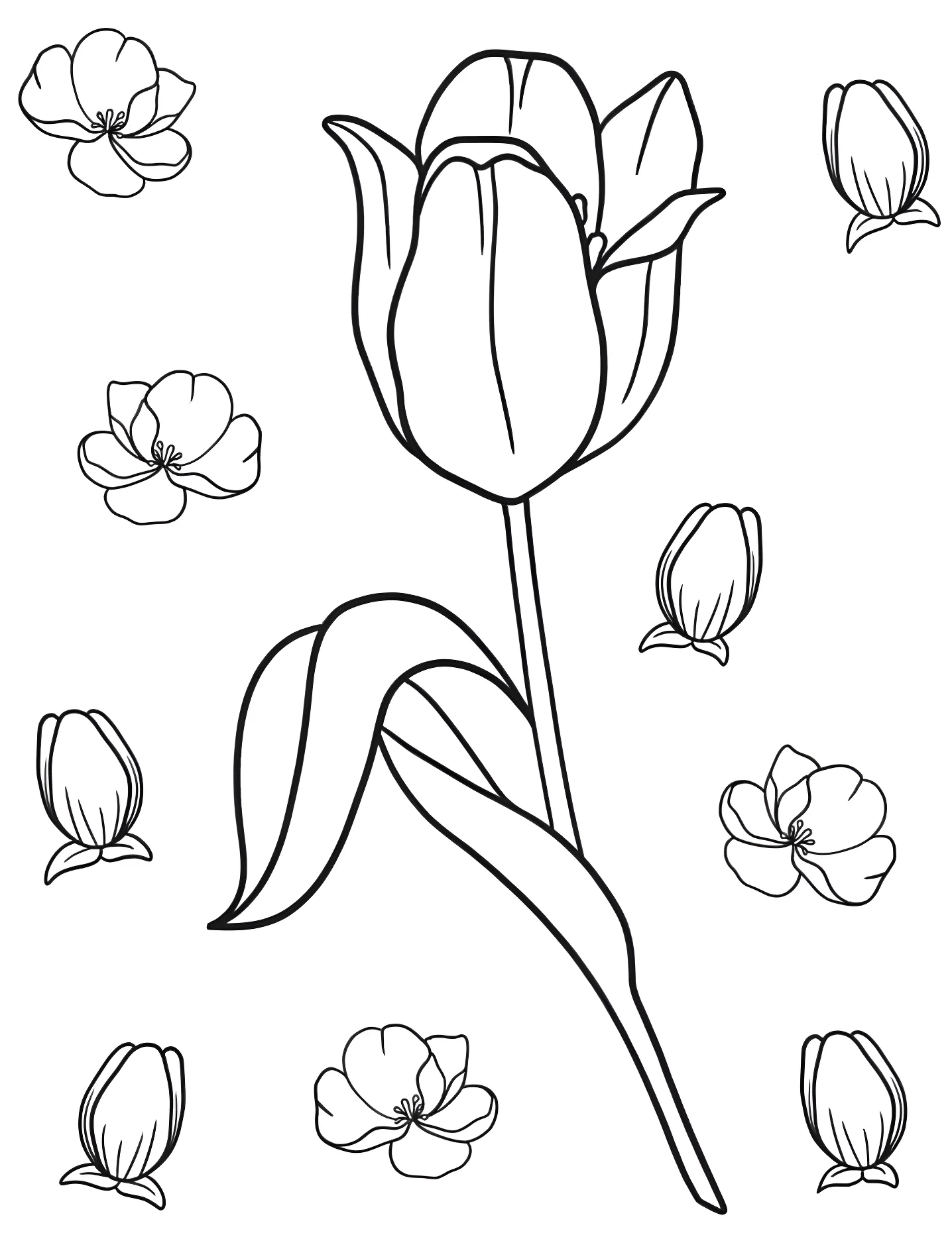 Тюльпан №10604. Раскраски для девочек по категориям. Тюльпан (Tulip).