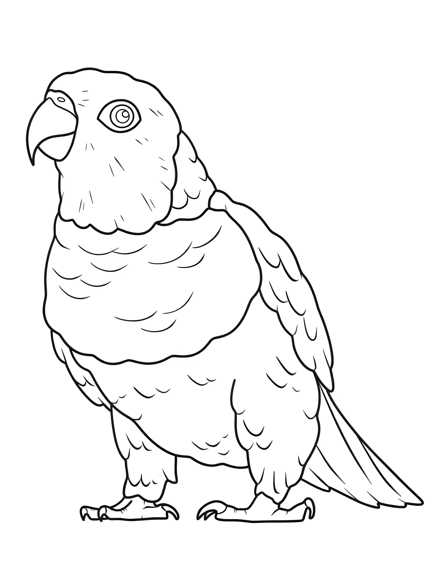 Милый попугай каик №9227. Раскраски для девочек по категориям. Попугай (Parrot).