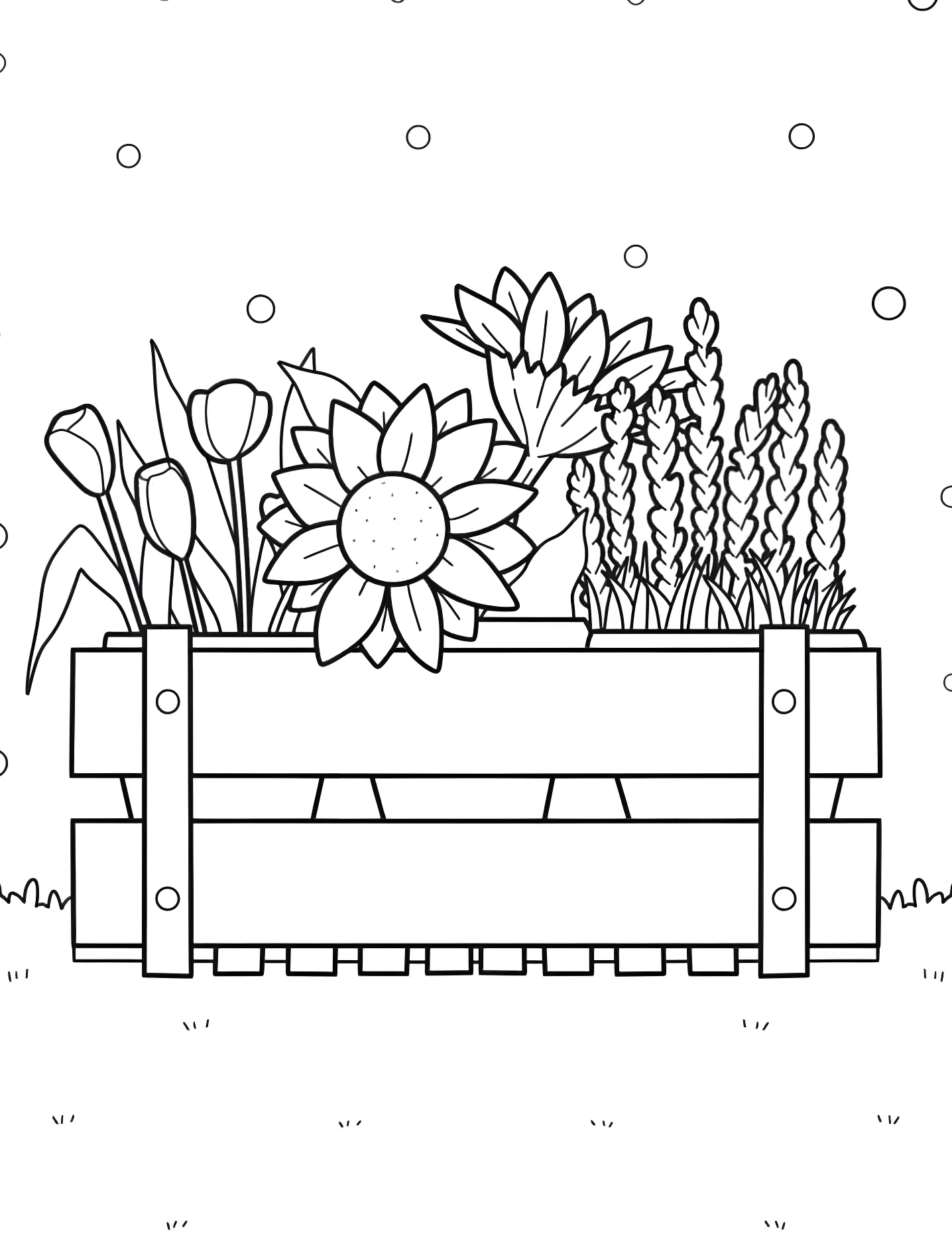 Цветы в саду №7743. Раскраски для девочек по категориям. Сад (Garden).