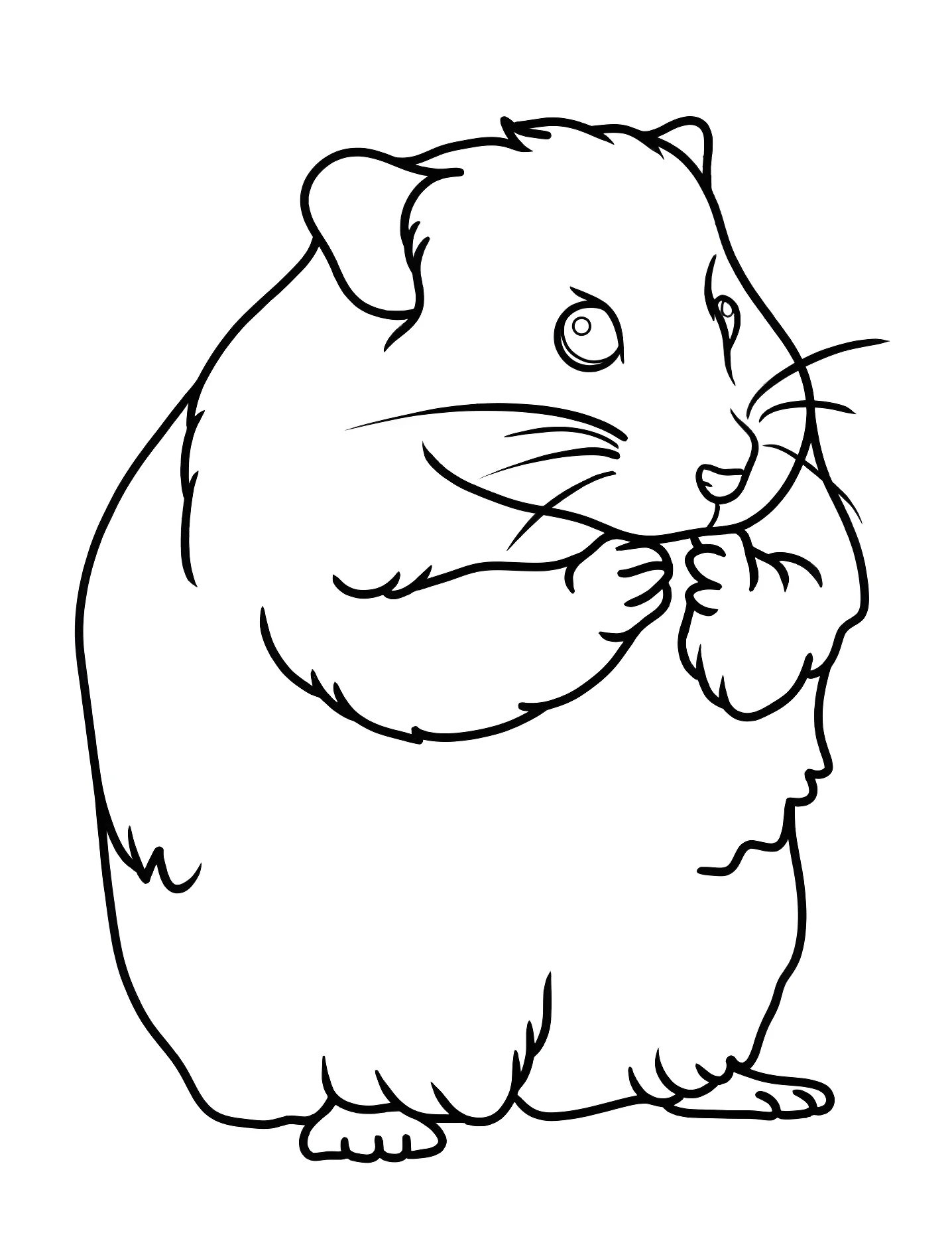 Милый хомяк №8005. Раскраски для девочек по категориям. Хомяк (Hamster).