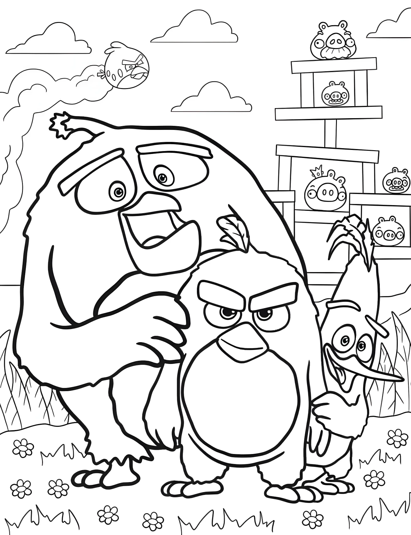 Весёлые птички Angry Birds №5406. Раскраски для девочек по категориям. Энгри Бердс (Angry Birds).