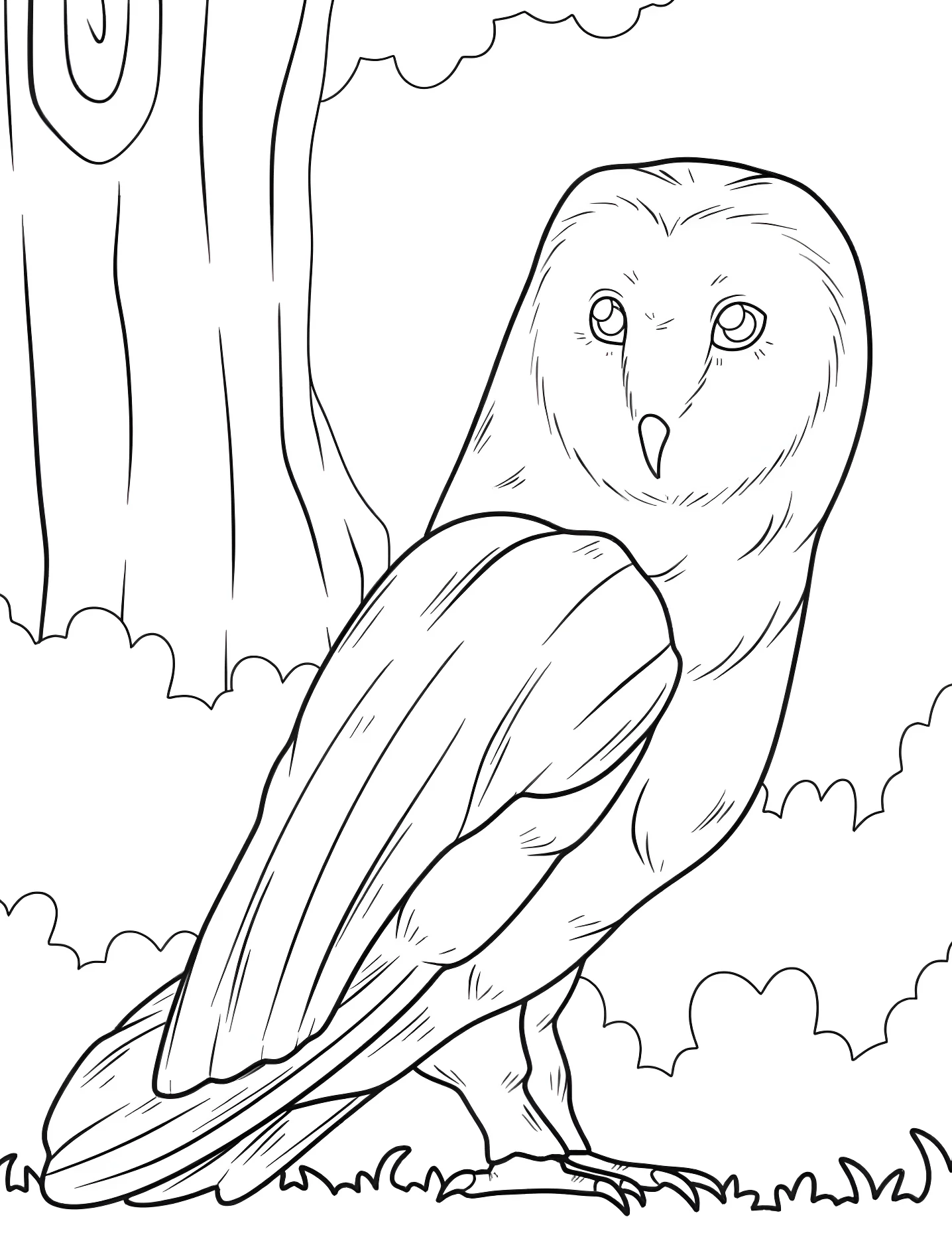 Милая сова №9208. Раскраски для девочек по категориям. Сова (Owl).
