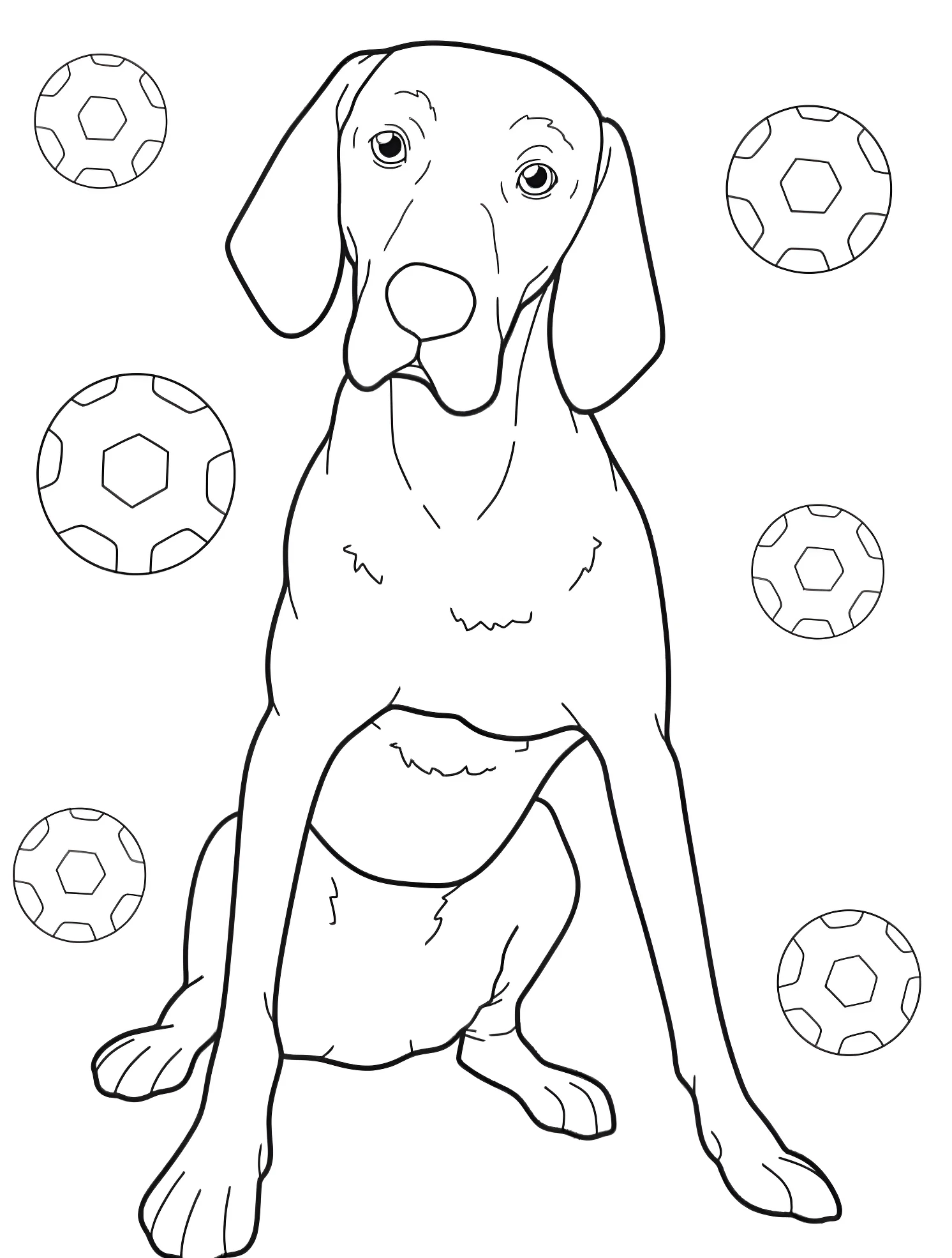 Милый вижла №5551. Раскраски для мальчиков по категориям. Собаки (Dog).