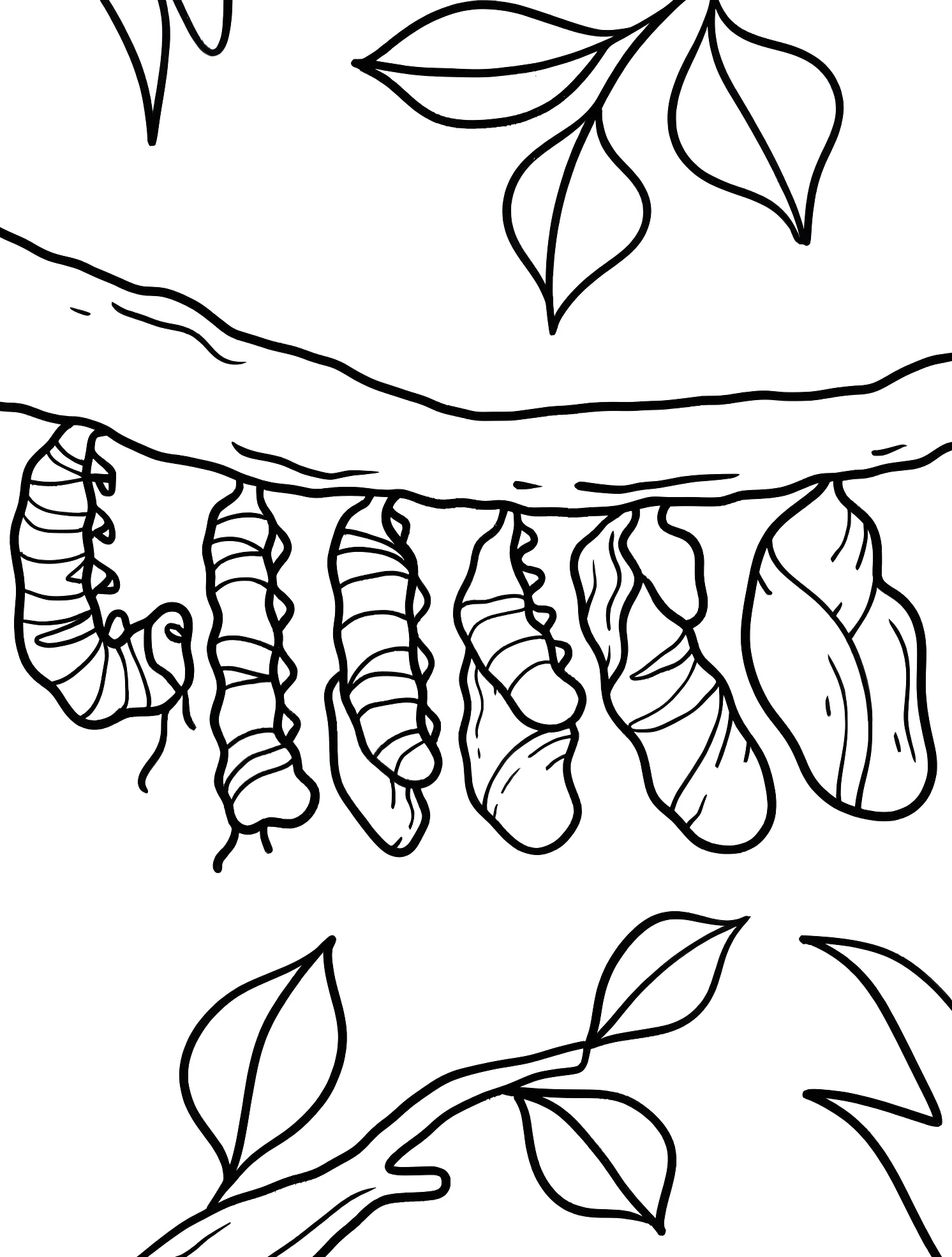 Гусеницы на ветке №5207. Раскраски для мальчиков по категориям. Гусеница (Caterpillar).