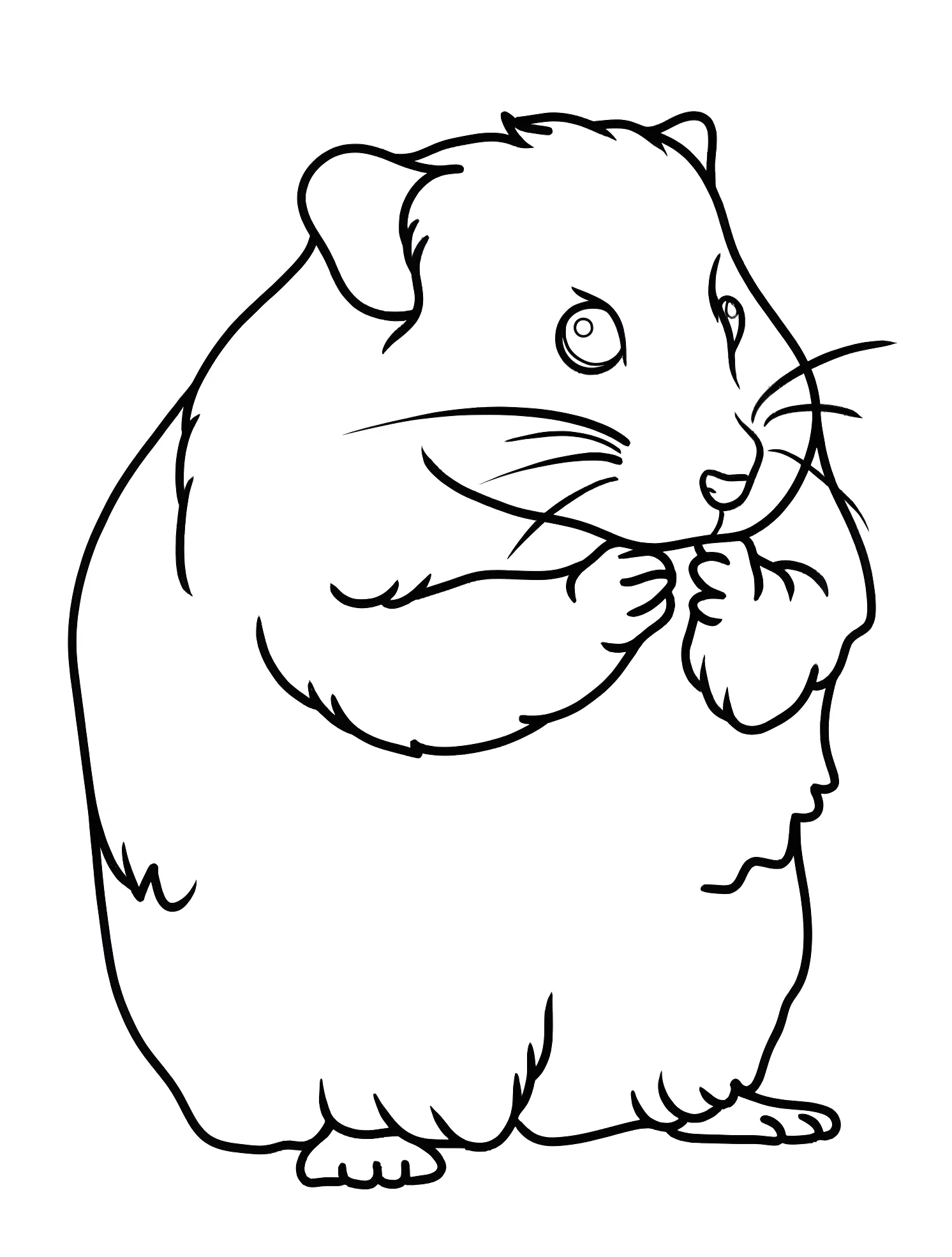 Милый хомяк №6295. Раскраски для мальчиков по категориям. Хомяк (Hamster).