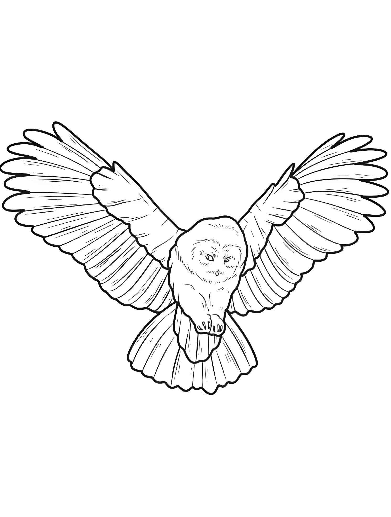 Сова летит вниз №6917. Раскраски для мальчиков по категориям. Сова (Owl).