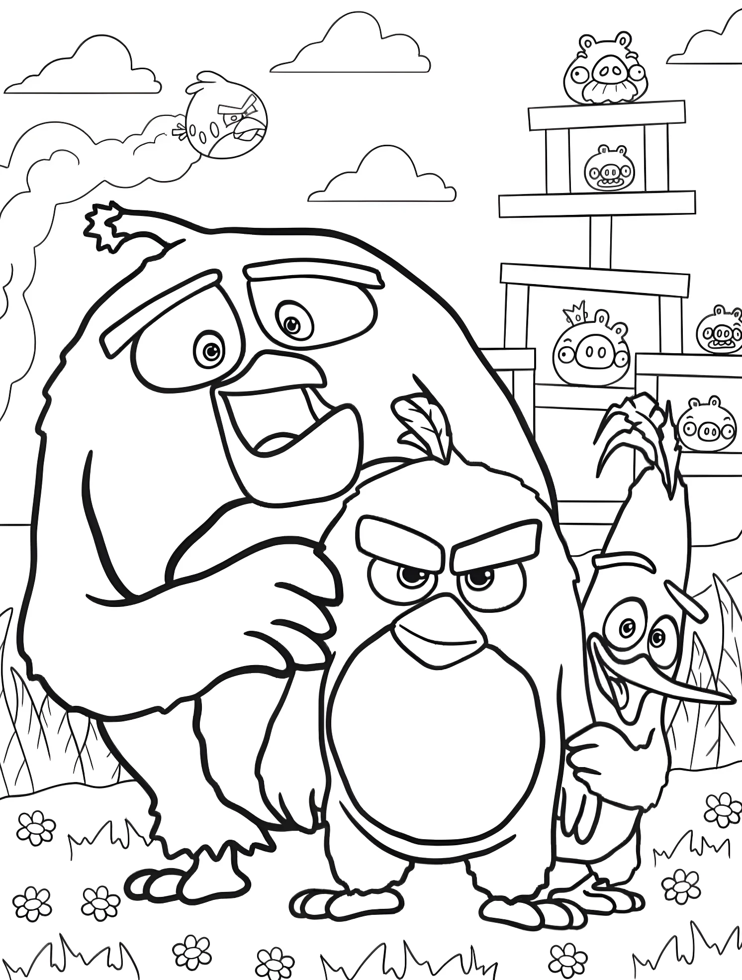 Веселые птички Angry Birds №4800. Раскраски для мальчиков по категориям. Angry Birds.