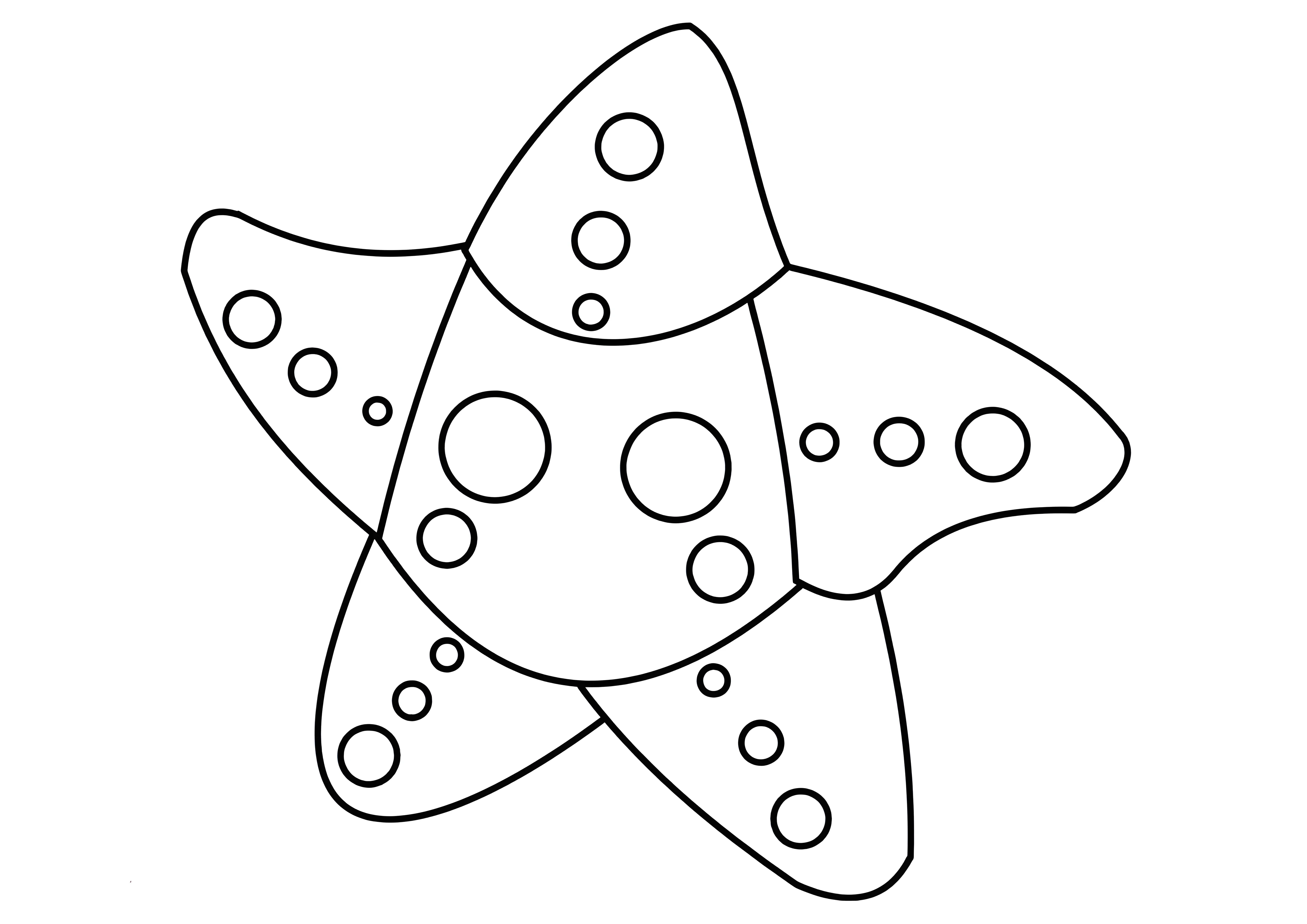 Морская звезда №4135. Раскраски из игр. Роблокс.