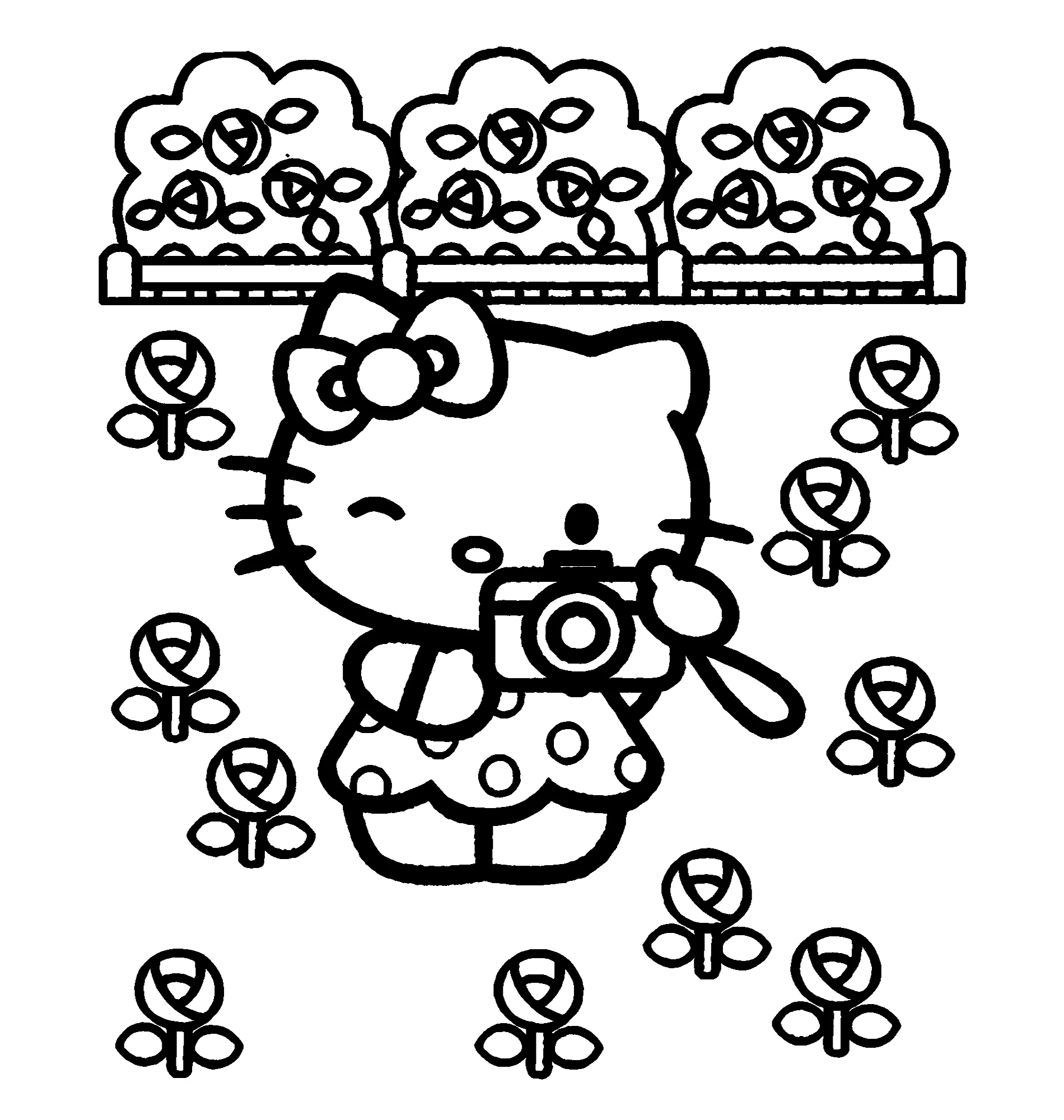 Хелло Китти с фотоаппаратом, раскраска Kitty №2201. Раскраски из мультиков. Хелло Китти (Hello Kitty).