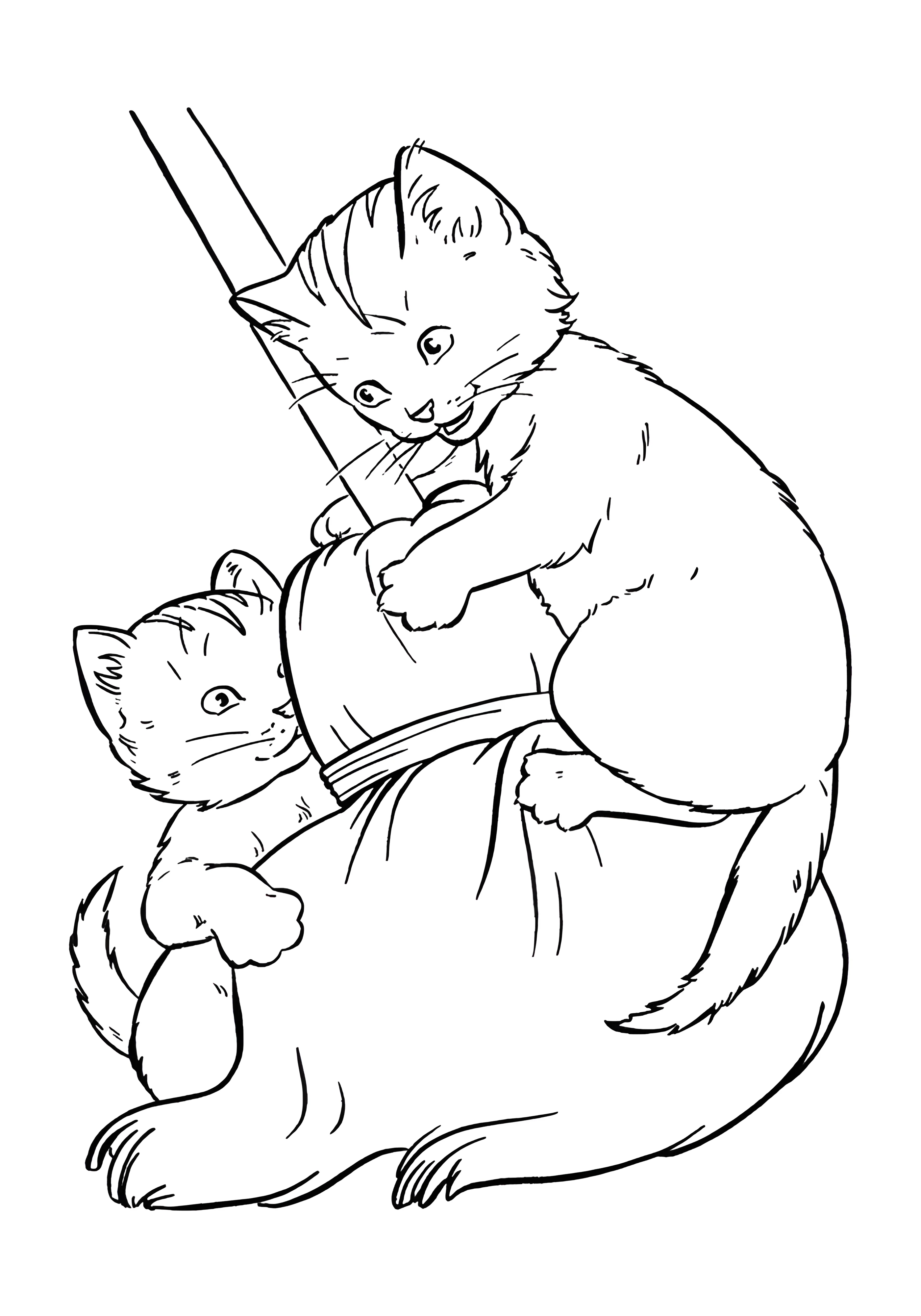 Раскраска милые котята на метле. Живые настоящие котята. Раскраска №3669. Раскраски для девочек по категориям. Котики.