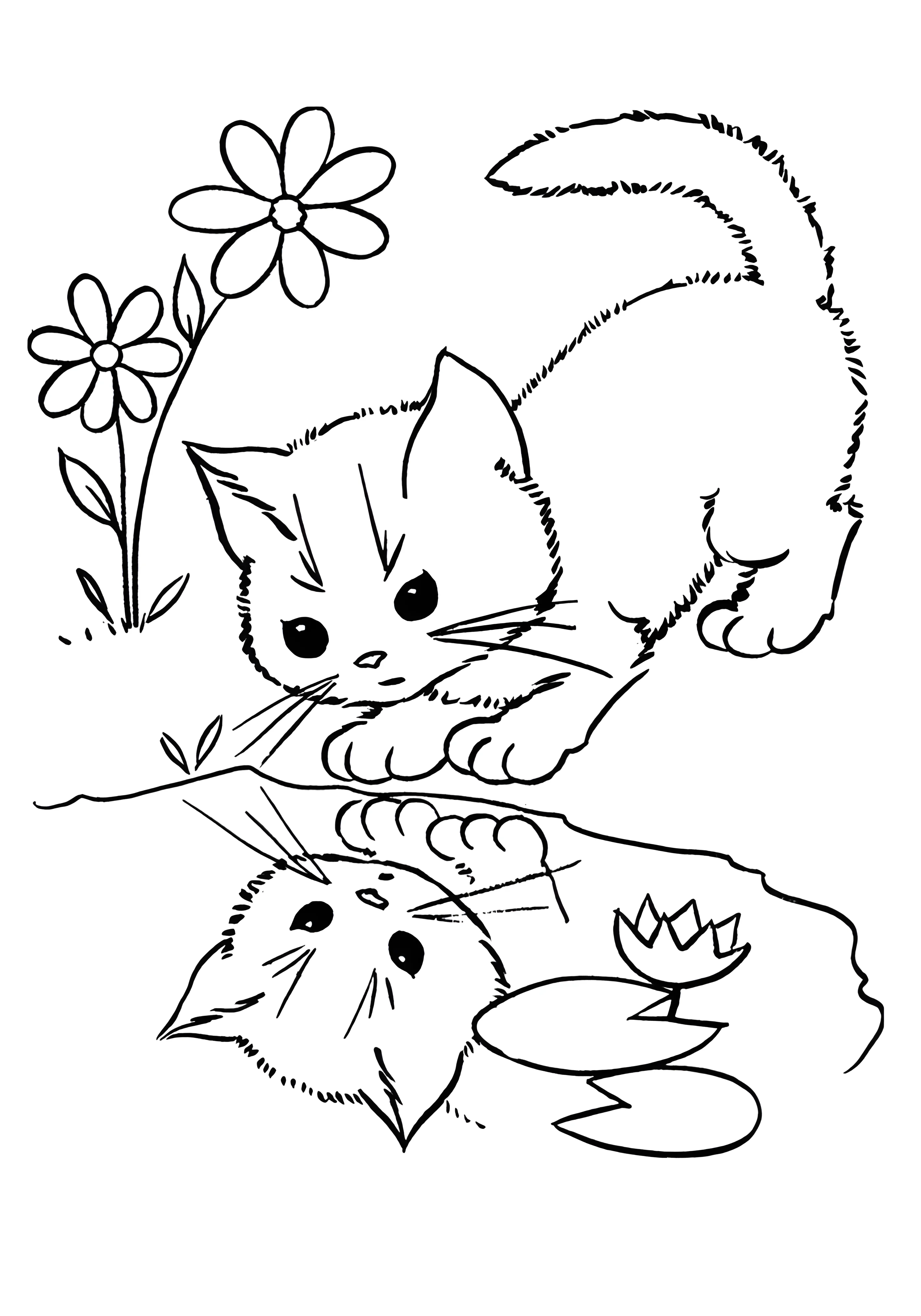 Котенок у воды №3679. Раскраски для девочек по категориям. Котики.