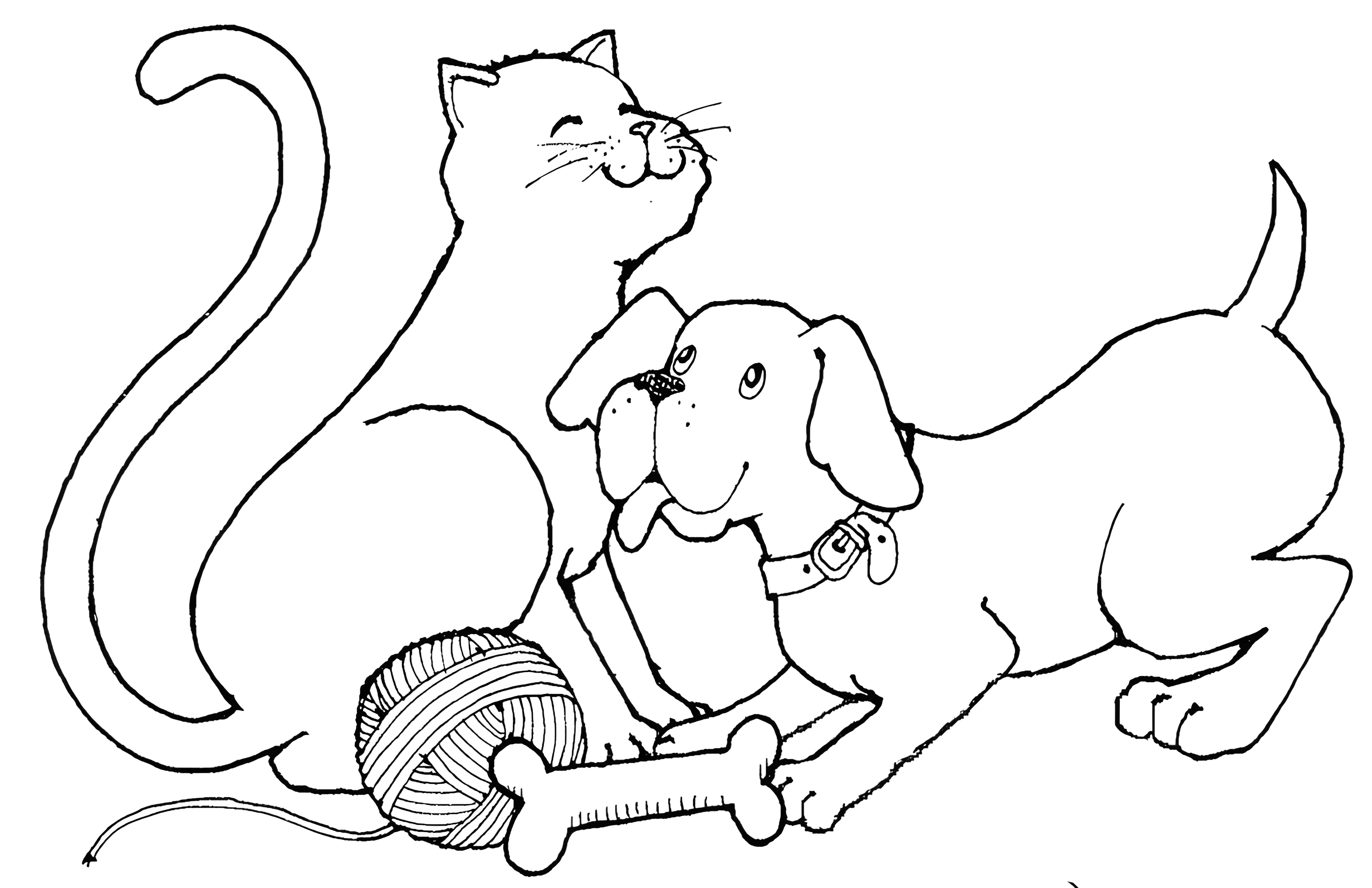 Кошка с собакой играют №3609. Раскраски для девочек по категориям. Котики.