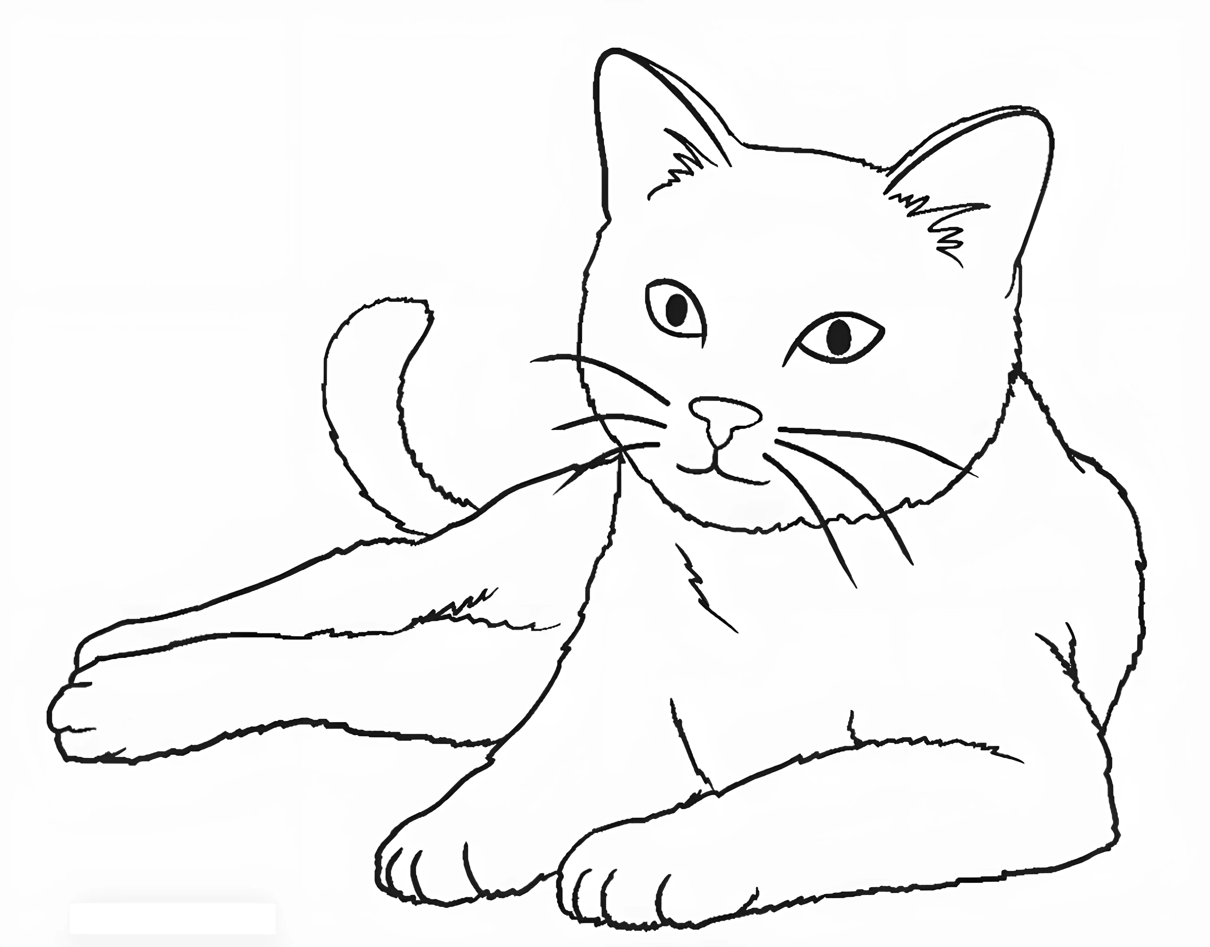 Раскраска кот лежит №3567. Раскраски для девочек по категориям. Котики.