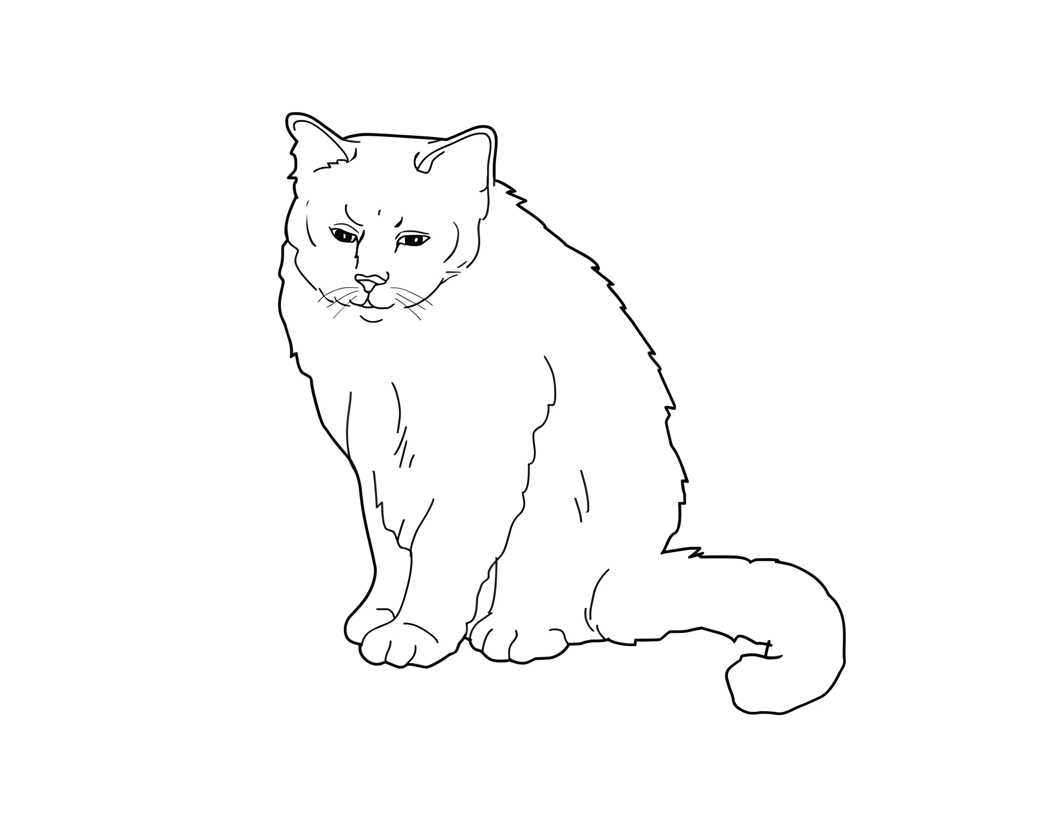 Грустный кот №3569. Раскраски для девочек по категориям. Котики.