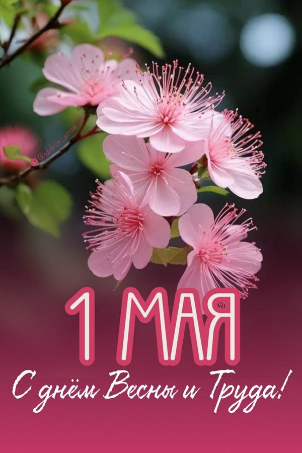 Красивая открытка на 1 мая. С Днём Весны и Труда. Открытки на 1 Мая №878. Открытки. Готовые открытки на 1 Мая.