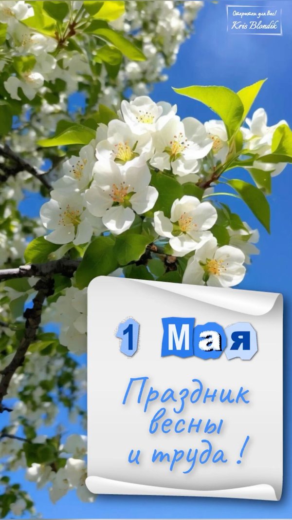 Открытка 1 мая Праздник весны и труда. Открытки на 1 Мая №888. Открытки. Готовые открытки на 1 Мая.