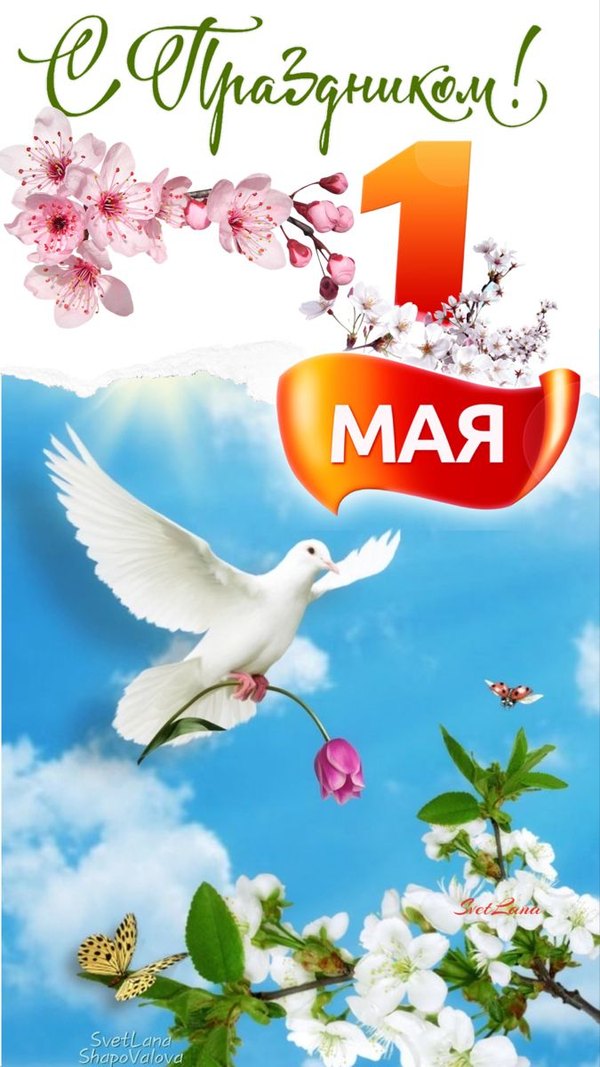 Открытка С Праздником 1 Мая. Открытки на 1 Мая №905. Открытки. Готовые открытки на 1 Мая.