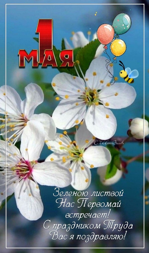Открытки на 1 Мая №903. Открытки. Готовые открытки на 1 Мая.