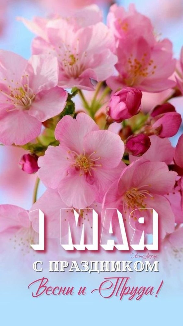 Открытки на 1 Мая №908. Открытки. Готовые открытки на 1 Мая.