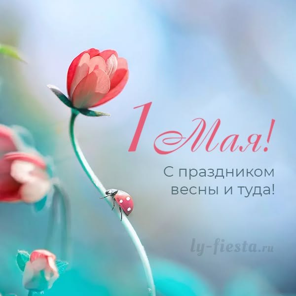 Открытки на 1 Мая №909. Открытки. Готовые открытки на 1 Мая.