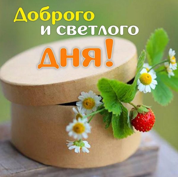 Доброго и светлого дня. Открытки Хорошего дня №1193. Открытки. Готовые открытки хорошего дня.