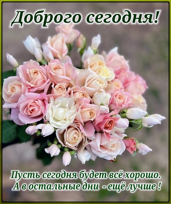 Доброго сегодня. Открытки Хорошего дня №1177. Открытки. Готовые открытки хорошего дня.