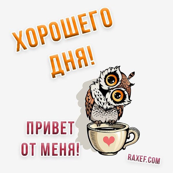Хорошего дня. Привет от меня. Открытки Хорошего дня №1278. Открытки. Готовые открытки хорошего дня.