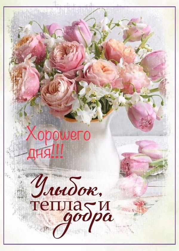 Хорошего дня. Улыбок, тепла и добра. Открытки Хорошего дня №1189. Открытки. Готовые открытки хорошего дня.