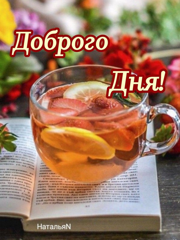 Открытка Доброго дня. Открытки Хорошего дня №1195. Открытки. Готовые открытки хорошего дня.
