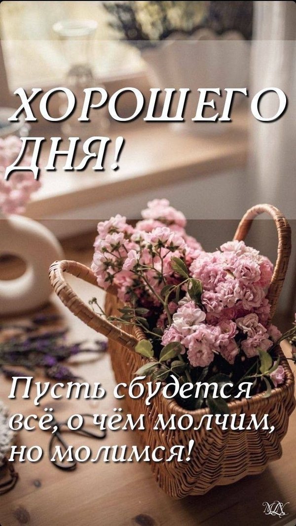 Открытки Хорошего дня №1176. Открытки. Готовые открытки хорошего дня.