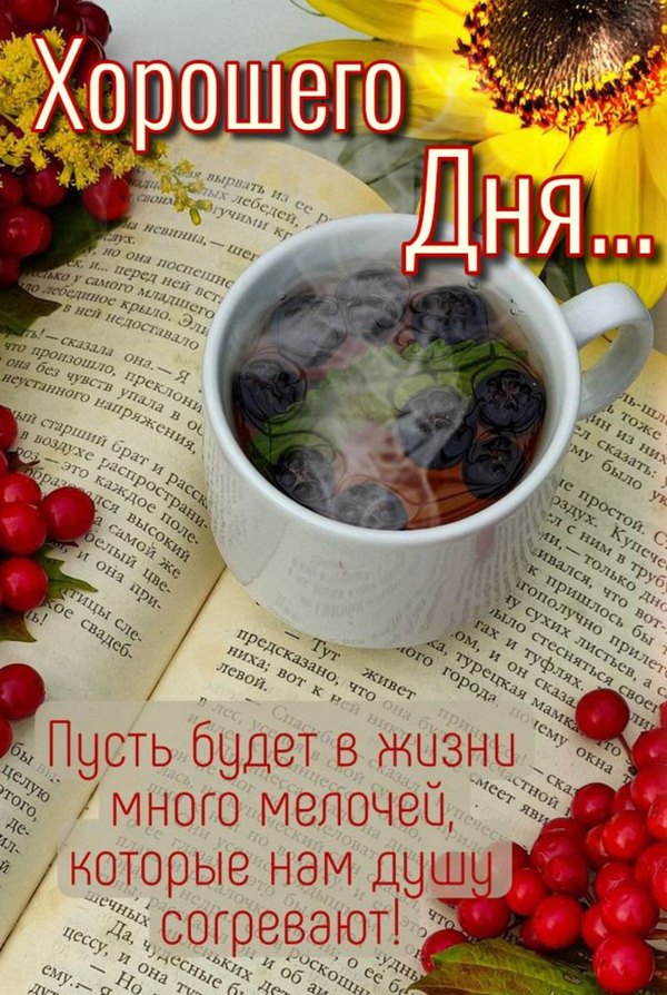 Открытки Хорошего дня №1190. Открытки. Готовые открытки хорошего дня.