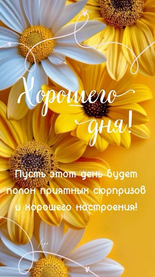 Открытки Хорошего дня №1191. Открытки. Готовые открытки хорошего дня.