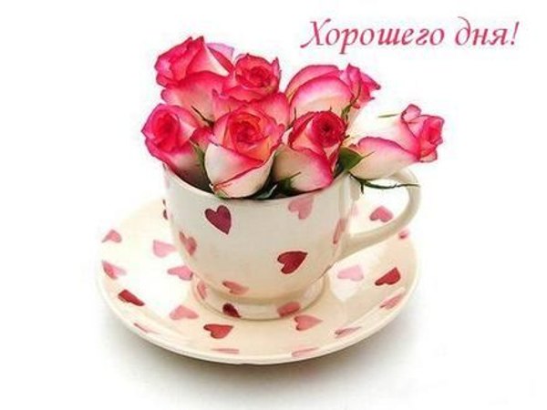 Открытки Хорошего дня №1197. Открытки. Готовые открытки хорошего дня.