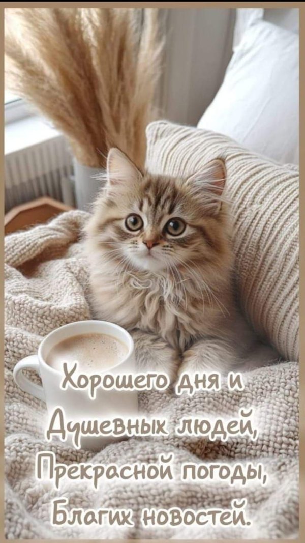 Открытки Хорошего дня №1207. Открытки. Готовые открытки хорошего дня.