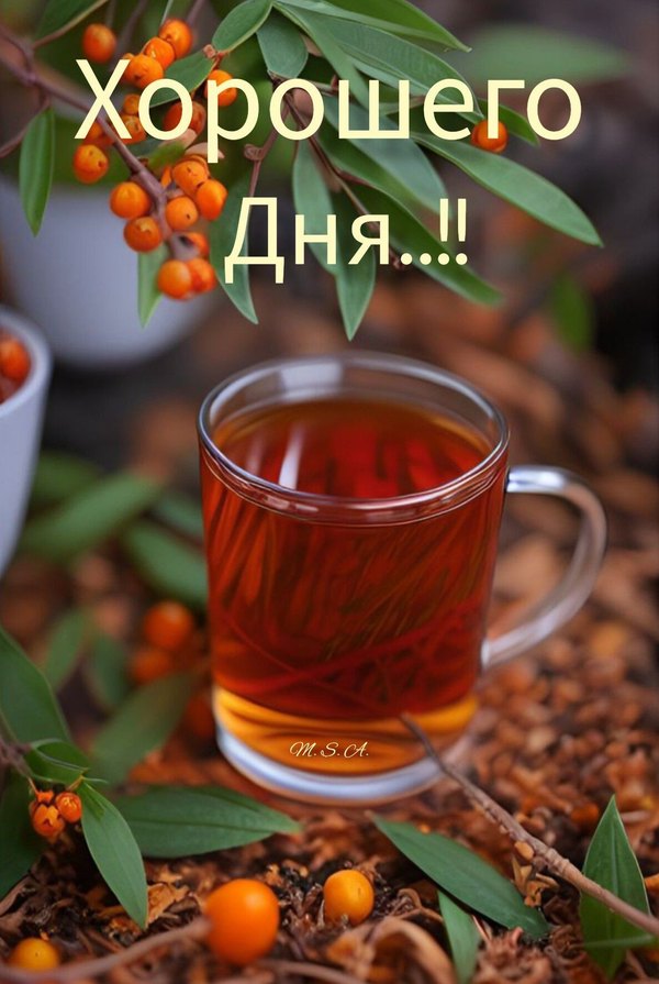 Открытки Хорошего дня №1221. Открытки. Готовые открытки хорошего дня.