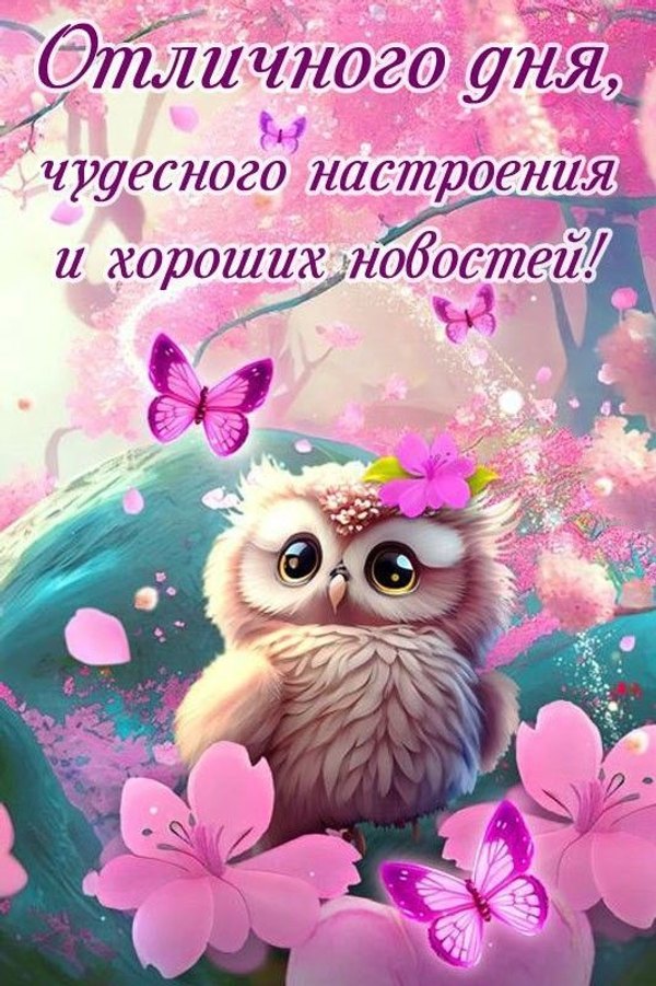Открытки Хорошего дня №1247. Открытки. Готовые открытки хорошего дня.