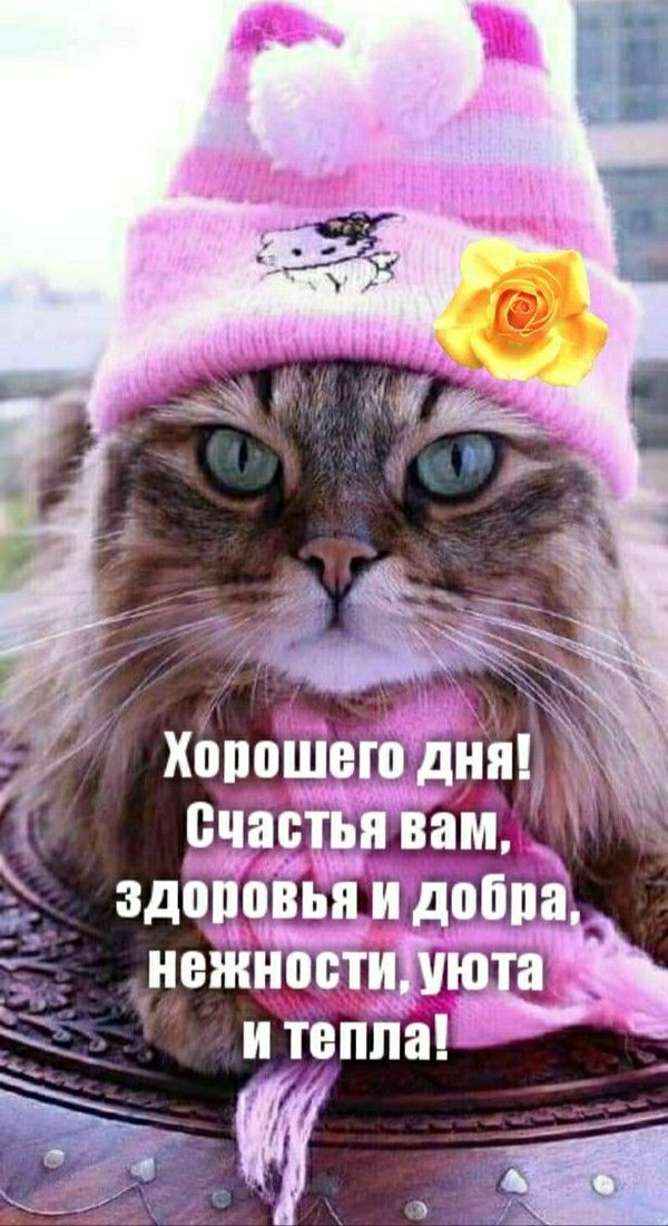 Открытки Хорошего дня №1252. Открытки. Готовые открытки хорошего дня.