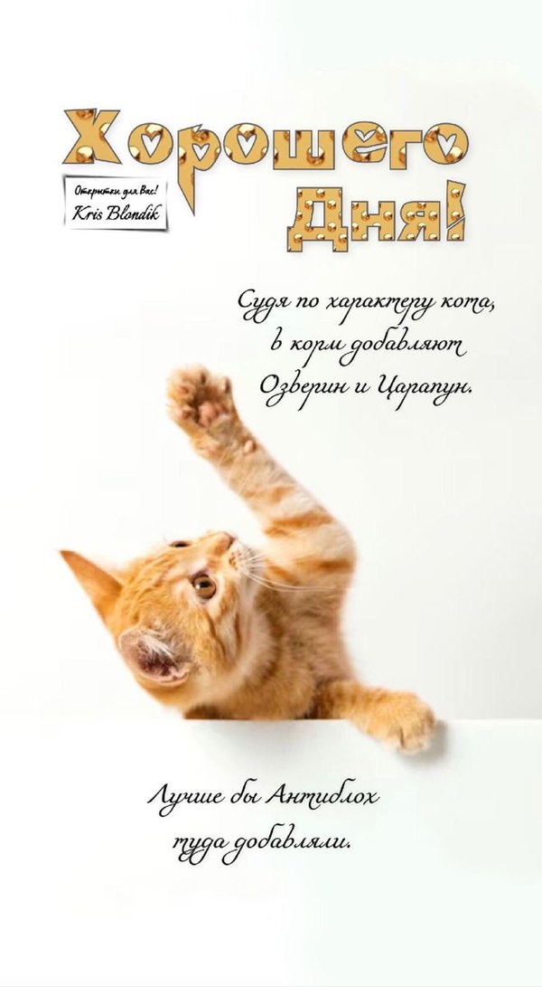 Открытки Хорошего дня №1257. Открытки. Готовые открытки хорошего дня.