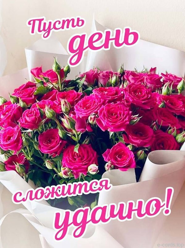 Пусть день сложится удачно. Открытки Хорошего дня №1175. Открытки. Готовые открытки хорошего дня.