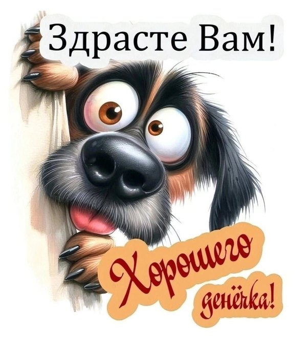 Здрасте вам. Хорошего денечка. Открытки Хорошего дня №1222. Открытки. Готовые открытки хорошего дня.