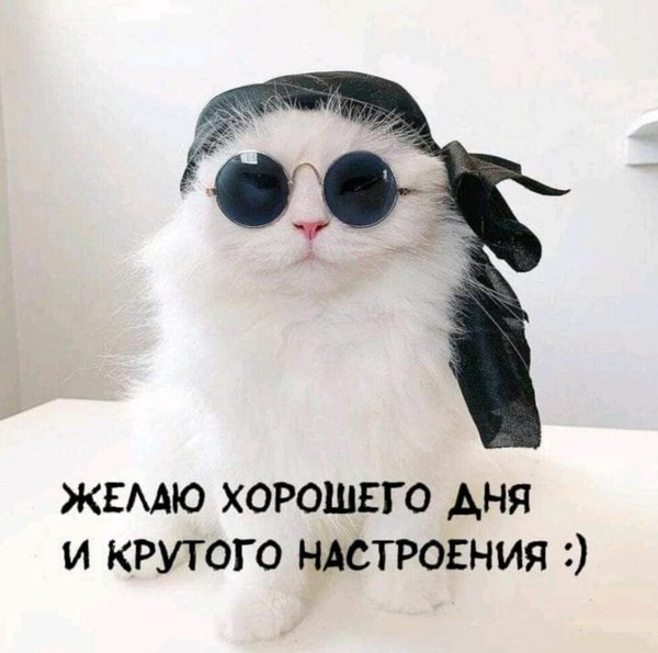 Желаю хорошего дня и крутого настроения. Открытки Хорошего дня №1284. Открытки. Готовые открытки хорошего дня.