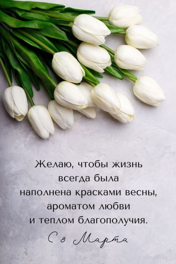 С 8 марта, букет белых тюльпанов Красивые открытки С 8 марта №787. Открытки. Готовые открытки с 8 марта.