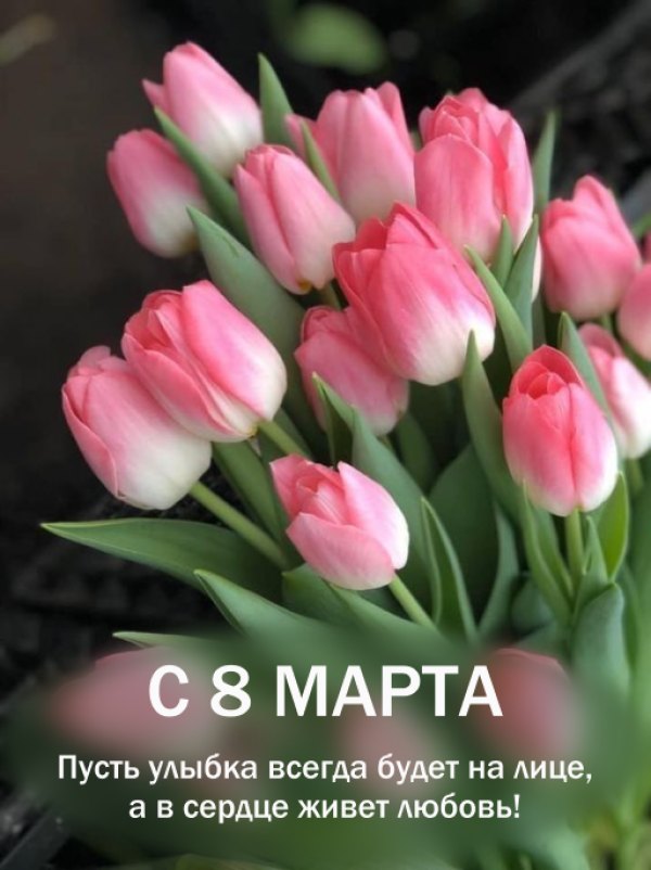 С 8 марта, букет розовых тюльпанов Красивые открытки С 8 марта №795. Открытки. Готовые открытки с 8 марта.