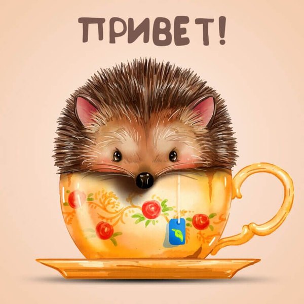 Открытки Привет №701. Открытки. Готовые открытки Привет и Приветик.