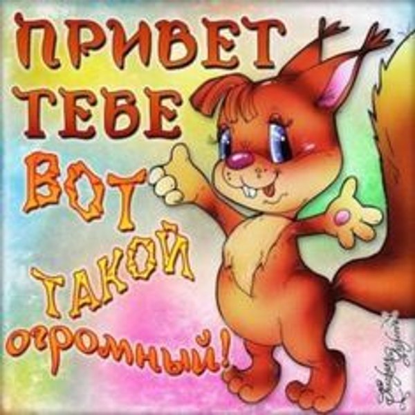 Открытки Привет №702. Открытки. Готовые открытки Привет и Приветик.