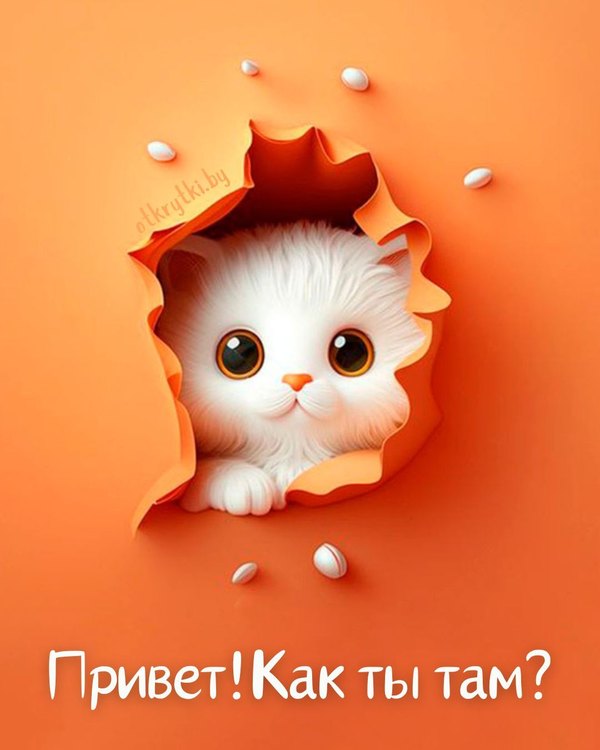 Привет. Как ты там? Открытки Привет №696. Открытки. Готовые открытки Привет и Приветик.