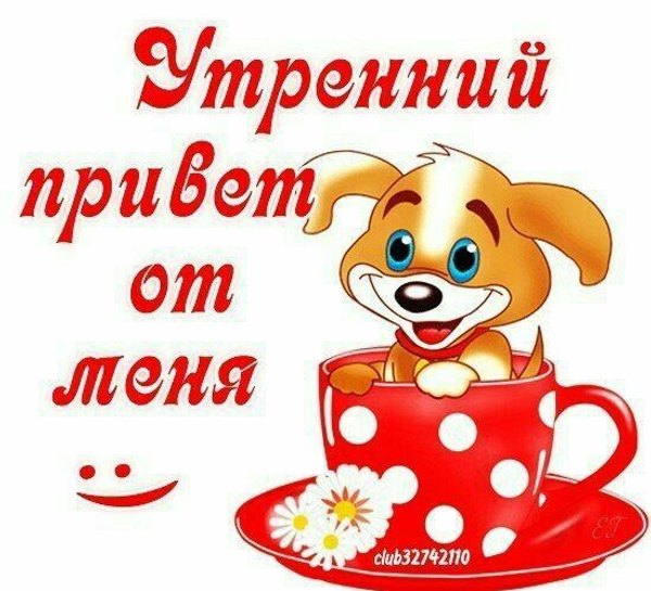 Утренний привет от меня. Открытки Привет №699. Открытки. Готовые открытки Привет и Приветик.