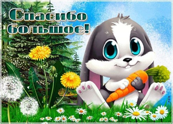 Открытка Спасибо Большое. Открытки Спасибо №775. Открытки. Готовые открытки Спасибо.